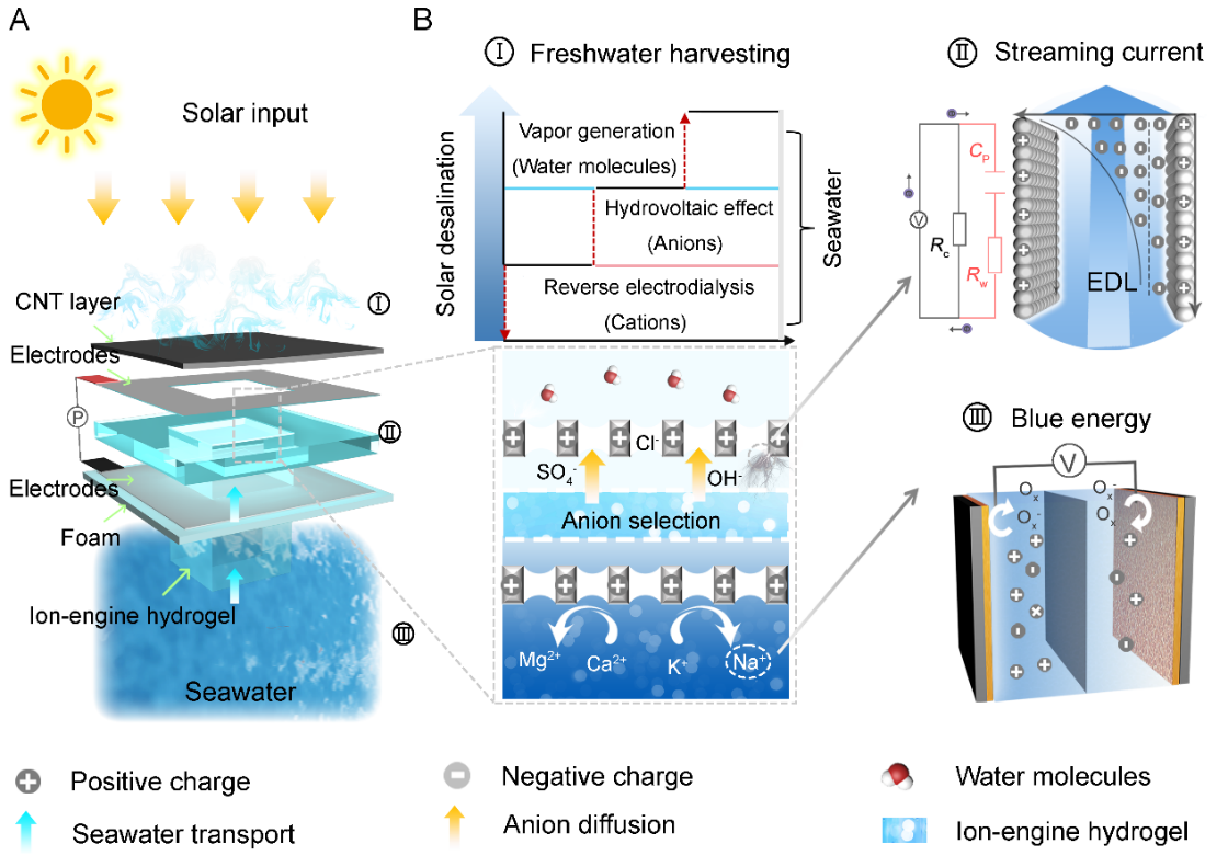 南京大学唐少春教授&清华大学曲良体教授Nat. Commun.：离子引擎水凝胶材料助力太阳能海水淡化水-电联产新突破